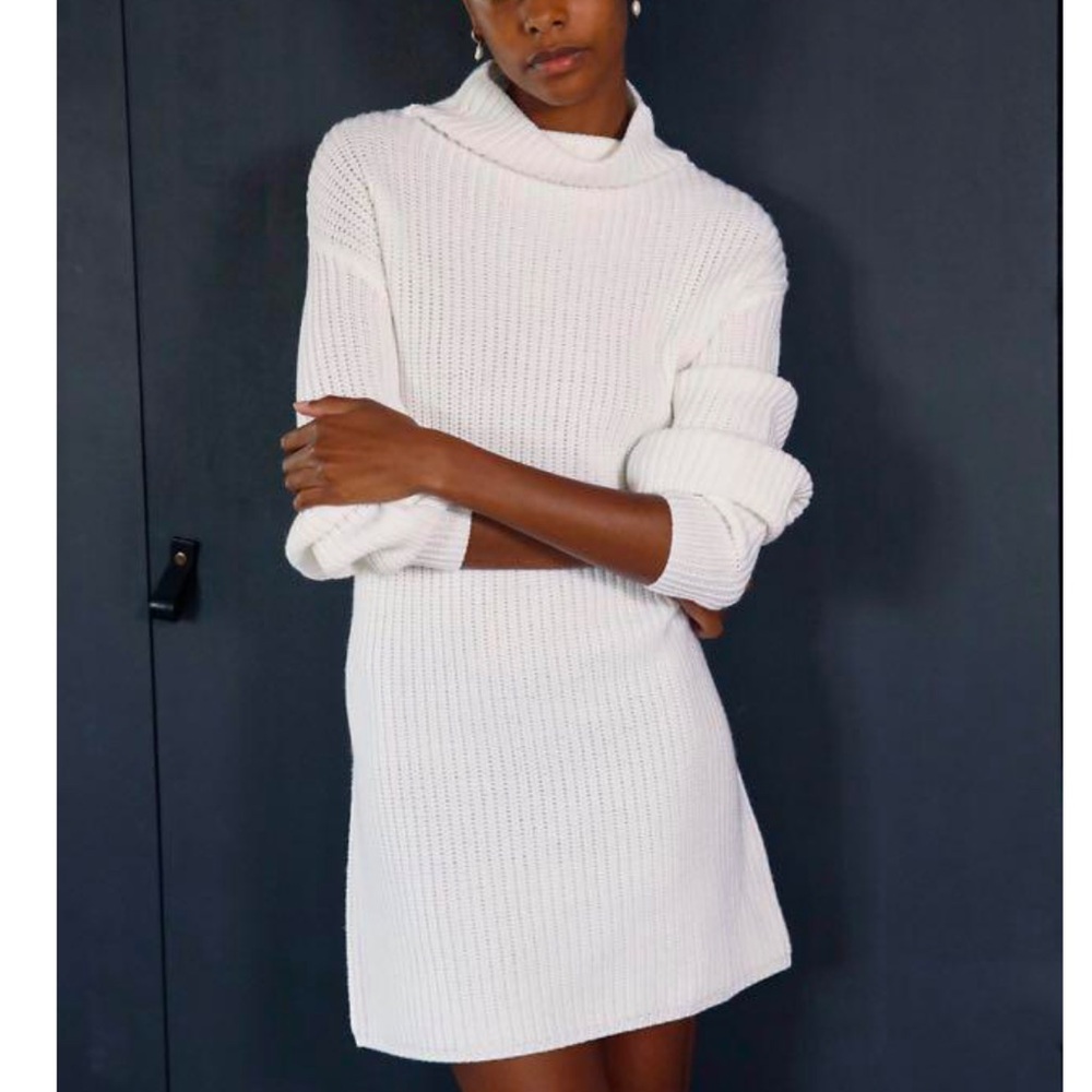 Aritzia Wilfred Montpellier Dress
